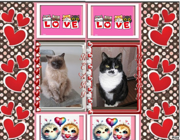 Zuzi of the Eha2013 family