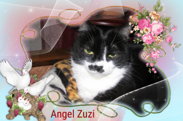 Zuzi of the Eha2013 family