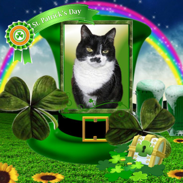 Zuzi of the Eha2013 family