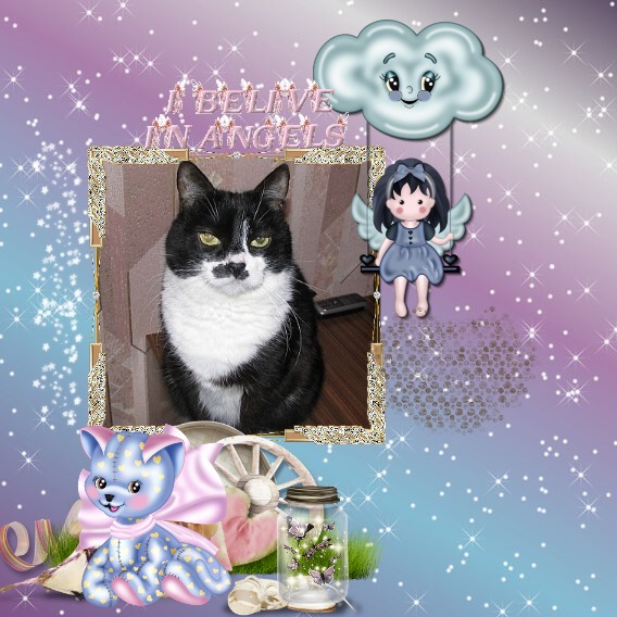 Zuzi of the Eha2013 family