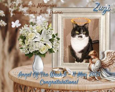 Zuzi of the Eha2013 family