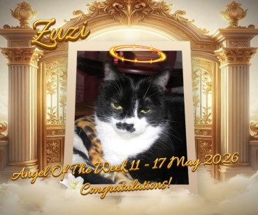 Zuzi of the Eha2013 family