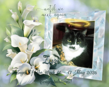 Zuzi of the Eha2013 family
