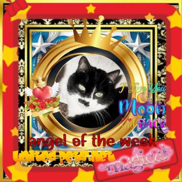 Zuzi of the Eha2013 family