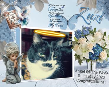 Zuzi of the Eha2013 family