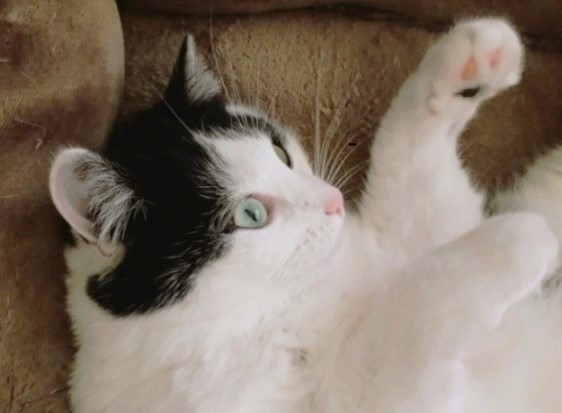 Eha2013 uploaded   2 year/s ago