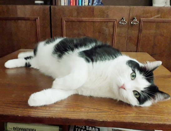 Eha2013 uploaded   1 year/s ago