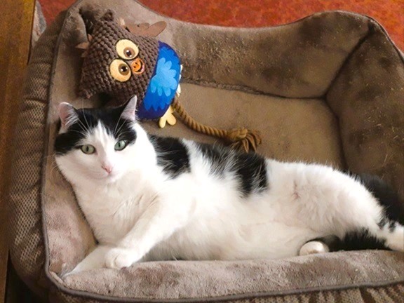 Eha2013 uploaded   1 year/s ago