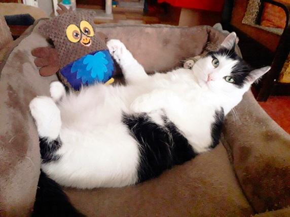 Eha2013 uploaded   1 year/s ago