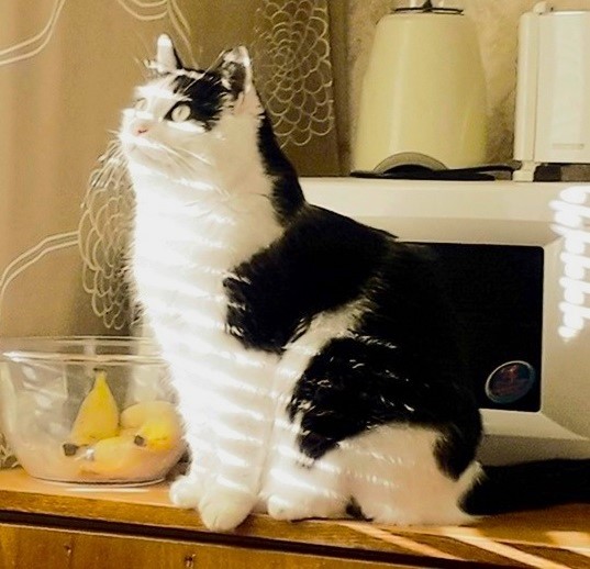 Eha2013 uploaded   1 year/s ago