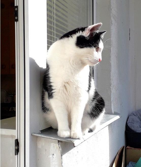 Eha2013 uploaded   2 year/s ago