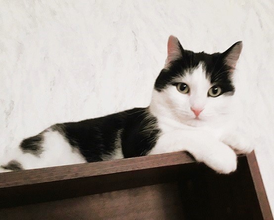 Eha2013 uploaded   2 year/s ago