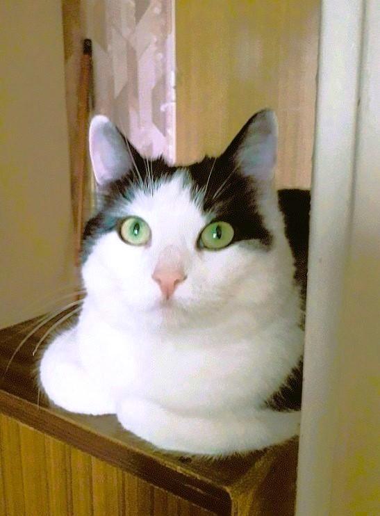 Eha2013 uploaded   2 year/s ago