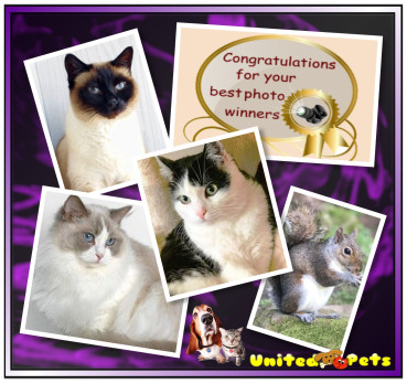 Stella of the Eha2013 family