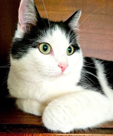 Eha2013 uploaded   110  day/s  ago