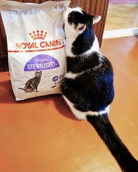 Eha2013 uploaded   182  day/s  ago