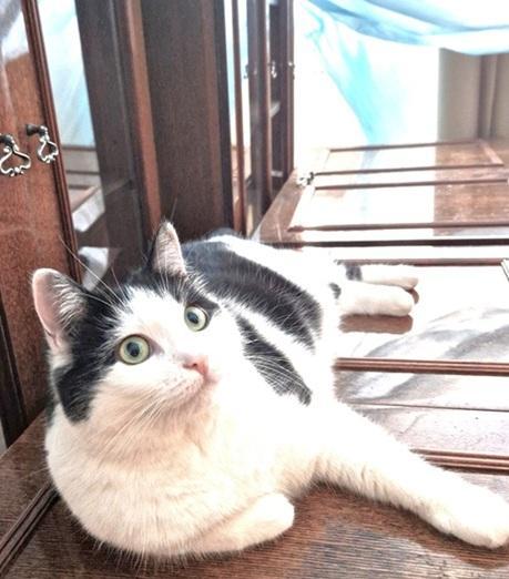 Eha2013 uploaded   178  day/s  ago