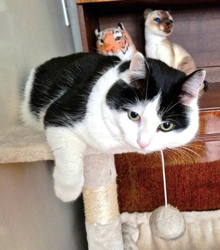 Eha2013 uploaded   175  day/s  ago