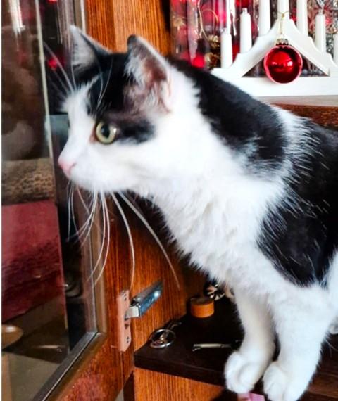 Eha2013 uploaded   116  day/s  ago