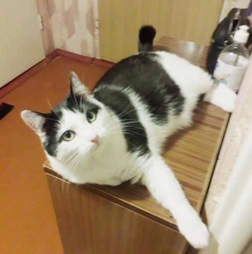 Eha2013 uploaded   1 year/s ago