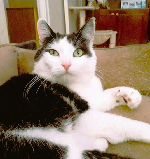 Eha2013 uploaded   1 year/s ago