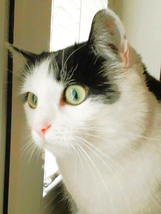 Eha2013 uploaded   1 year/s ago