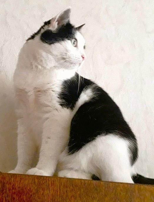 Eha2013 uploaded   1 year/s ago