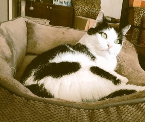 Eha2013 uploaded   1 year/s ago