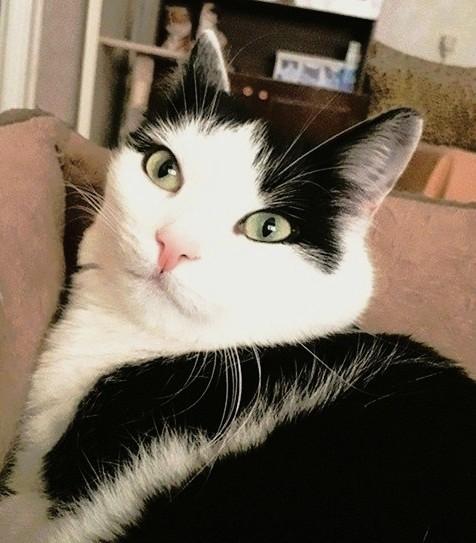 Eha2013 uploaded   1 year/s ago