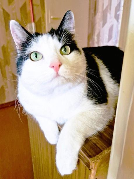 Eha2013 uploaded   1 year/s ago