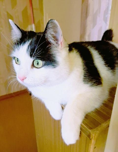 Eha2013 uploaded   1 year/s ago