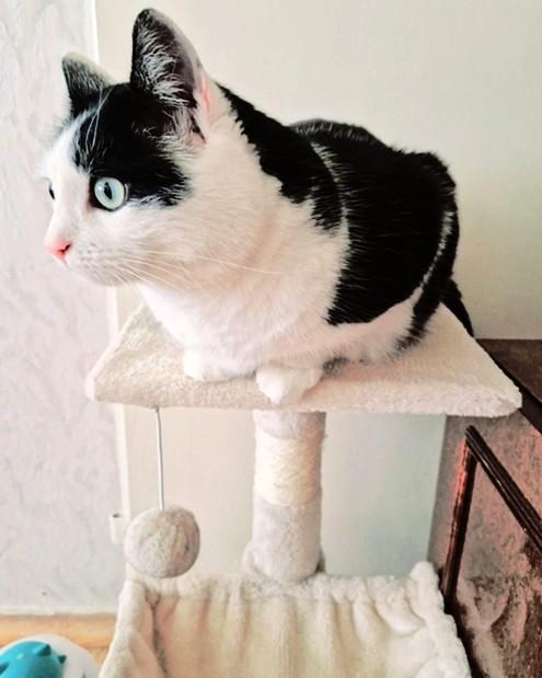 Eha2013 uploaded   1 year/s ago