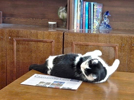 Eha2013 uploaded   1 year/s ago