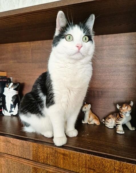 Eha2013 uploaded   364  day/s  ago