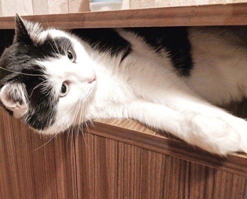 Eha2013 uploaded   350  day/s  ago