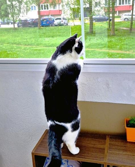 Eha2013 uploaded   333  day/s  ago