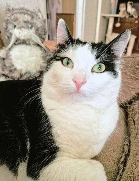 Eha2013 uploaded   361  day/s  ago