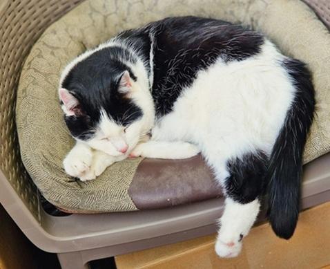 Eha2013 uploaded   332  day/s  ago