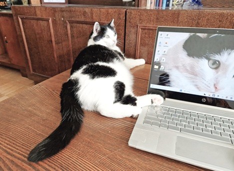 Eha2013 uploaded   357  day/s  ago