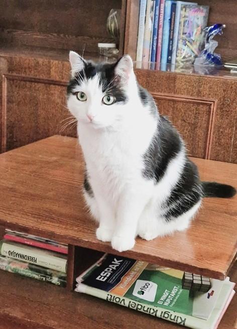 Eha2013 uploaded   357  day/s  ago