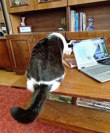 Eha2013 uploaded   321  day/s  ago