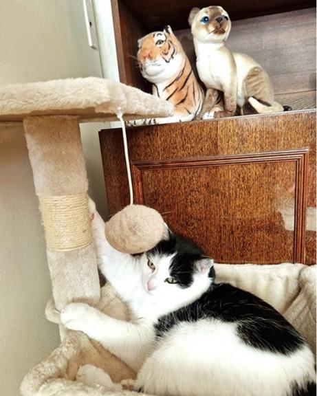 Eha2013 uploaded   316  day/s  ago