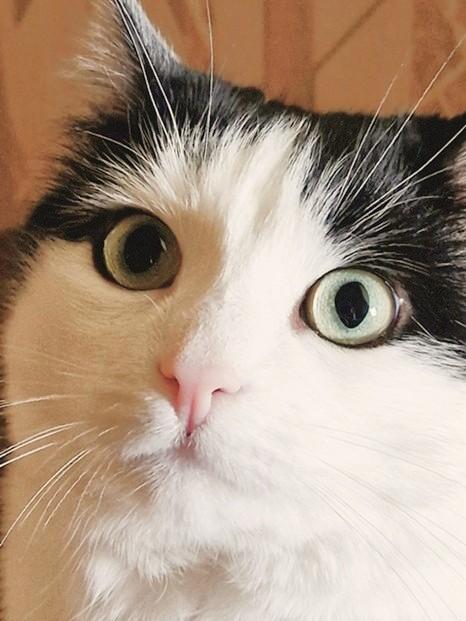 Eha2013 uploaded   231  day/s  ago