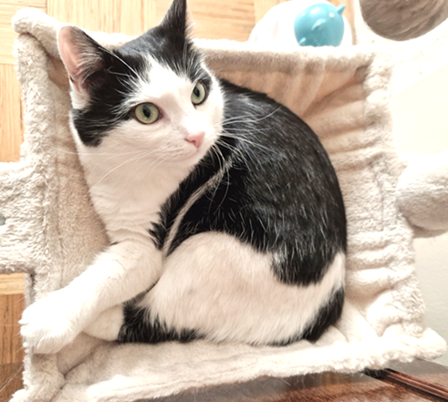 Eha2013 uploaded   324  day/s  ago