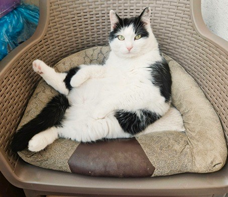 Eha2013 uploaded   207  day/s  ago