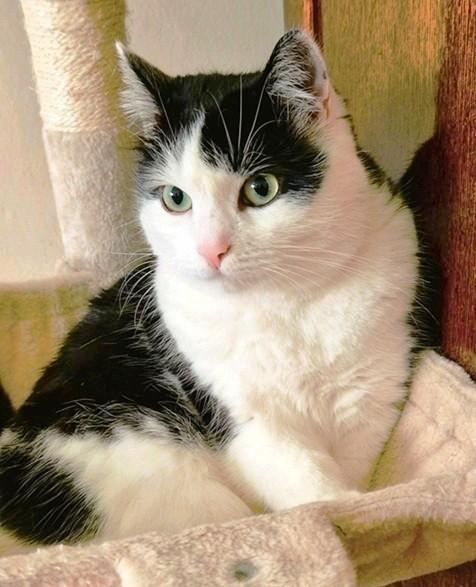 Eha2013 uploaded   203  day/s  ago