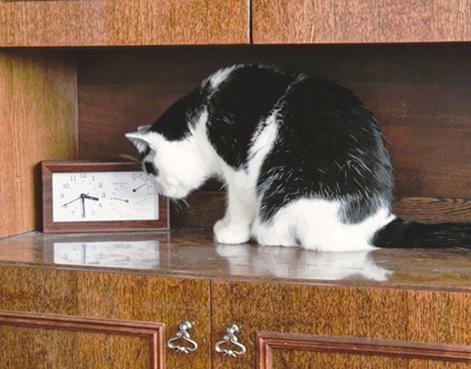 Eha2013 uploaded   278  day/s  ago