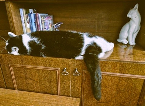 Eha2013 uploaded   299  day/s  ago