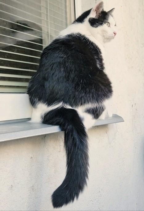 Eha2013 uploaded   271  day/s  ago