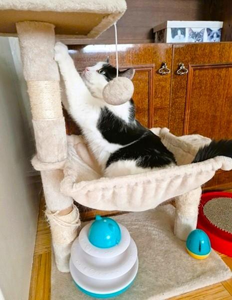 Eha2013 uploaded   218  day/s  ago